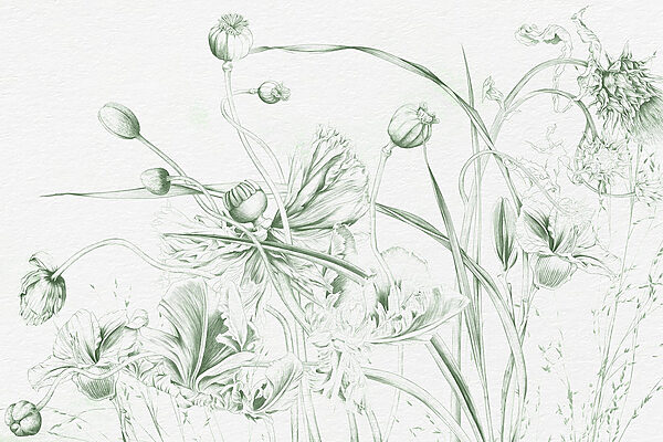 Dessin de fleurs et de feuilles Dessin de fleurs et de feuilles