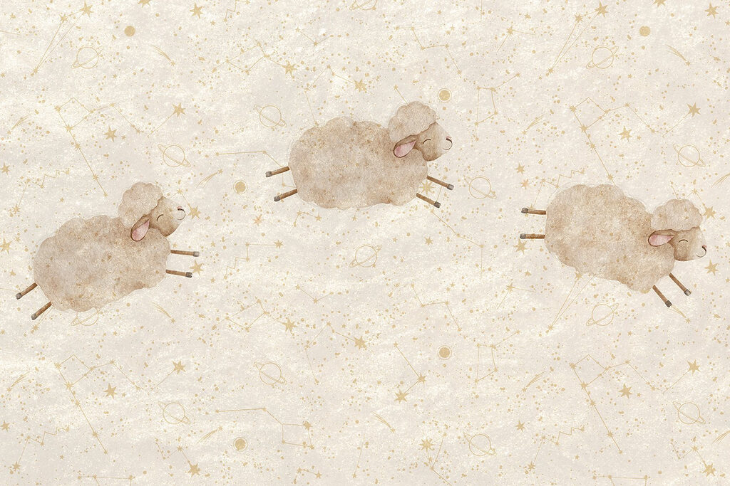 Groupe de moutons sur fond blanc Groupe de moutons sur fond blanc