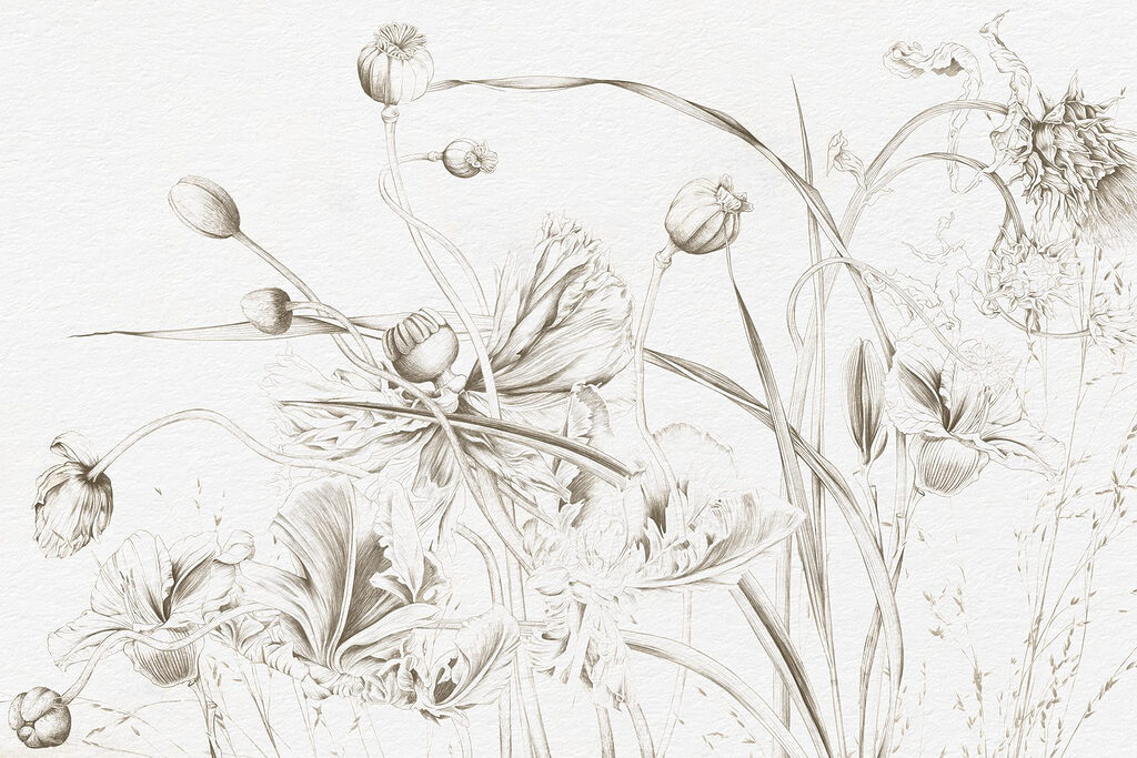 Dessin de fleurs et de feuilles Dessin de fleurs et de feuilles