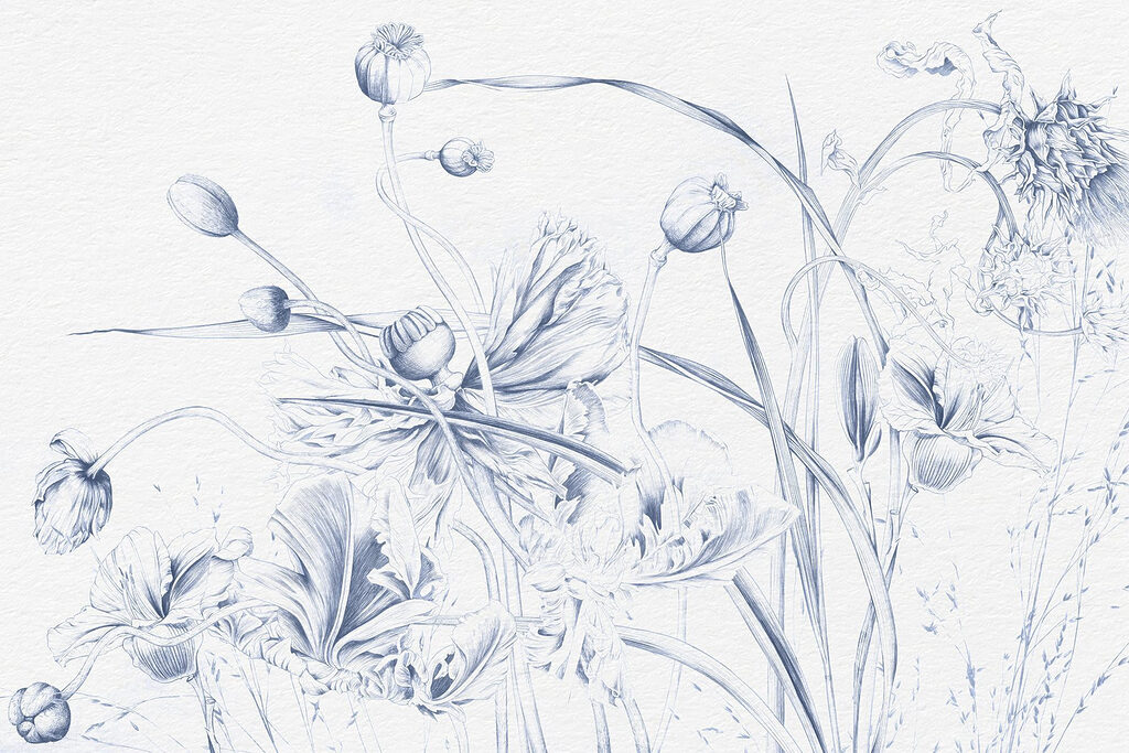 Dessin de fleurs et de feuilles Dessin de fleurs et de feuilles