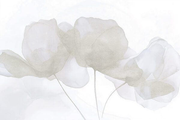 Groupe de fleurs blanches Groupe de fleurs blanches