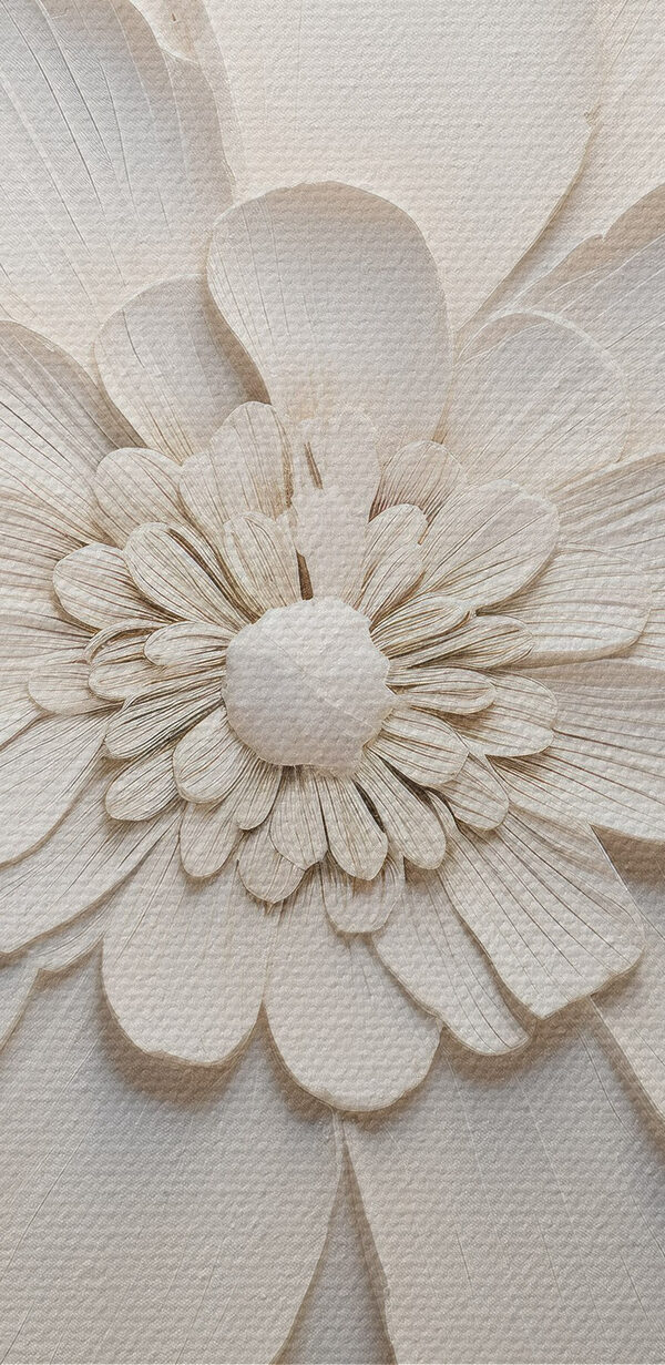 Fleur blanche à nombreux pétales Fleur blanche à nombreux pétales