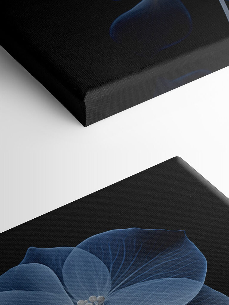 Translucent flowers on a dark background