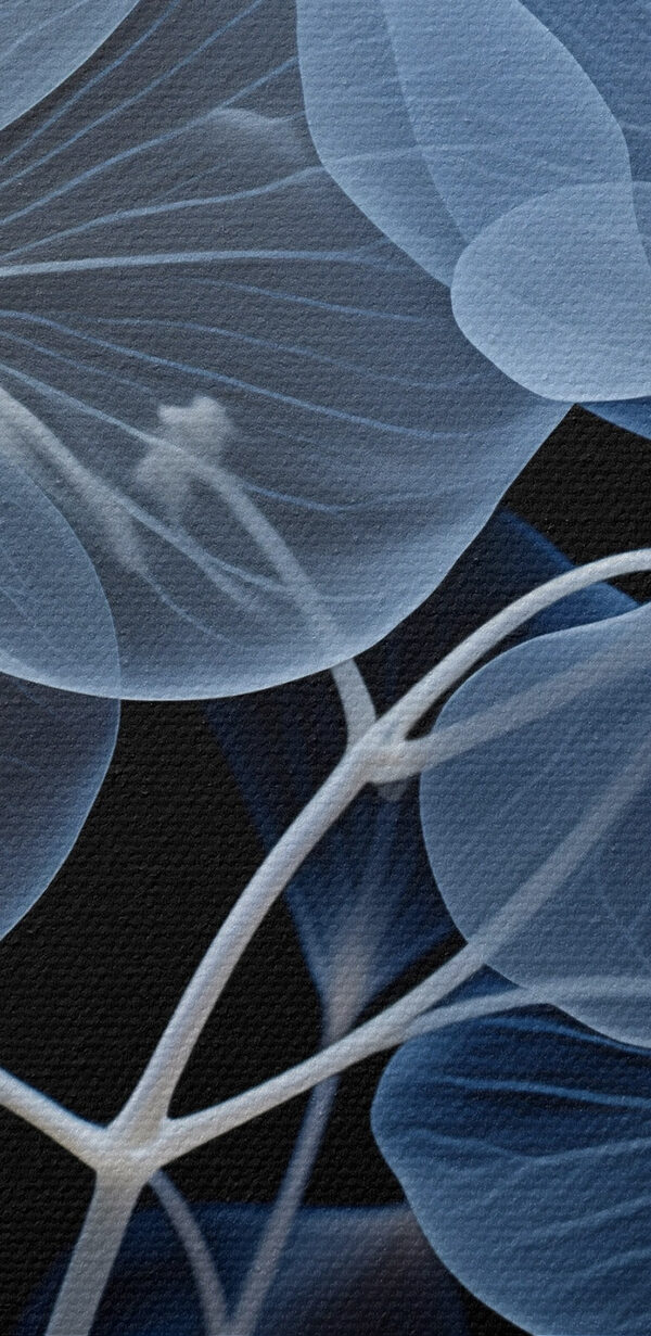 Fleurs translucides sur fond sombre Fleurs translucides sur fond sombre
