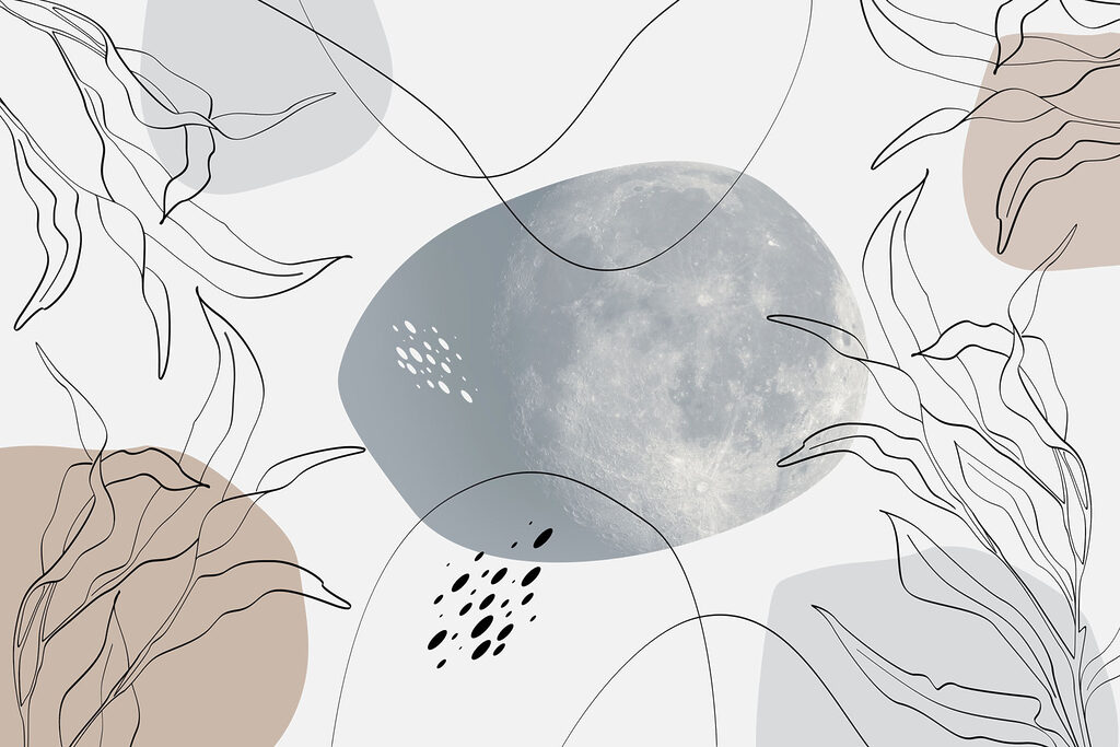Lune et plantes sur fond blanc Lune et plantes sur fond blanc