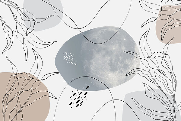 Lune et plantes sur fond blanc Lune et plantes sur fond blanc