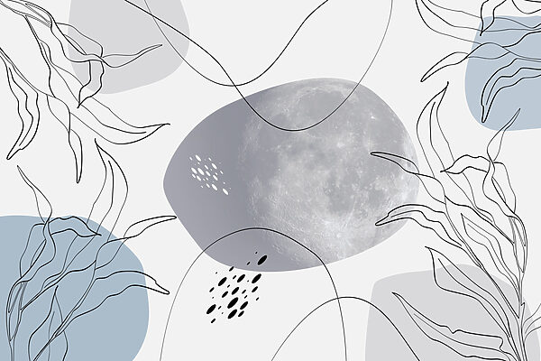 Lune et plantes sur fond blanc Lune et plantes sur fond blanc
