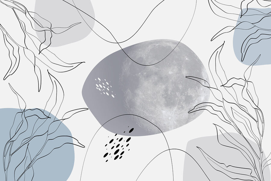 Lune et plantes sur fond blanc