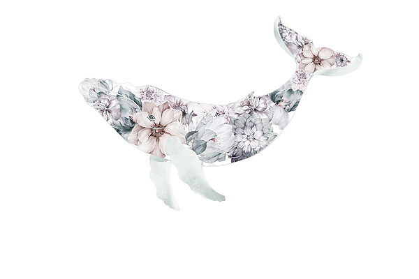 Baleine avec des fleurs Baleine avec des fleurs