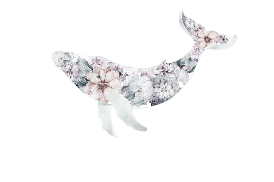 Baleine avec des fleurs