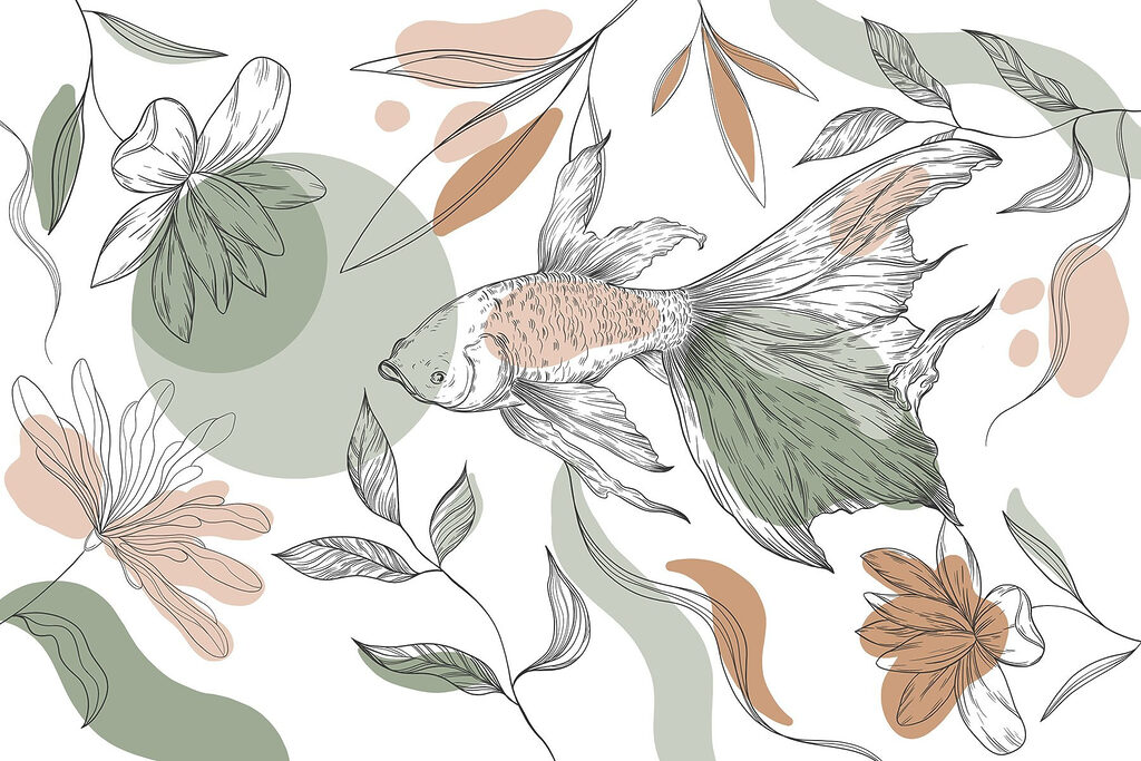 Poissons et plantes sur fond blanc Poissons et plantes sur fond blanc