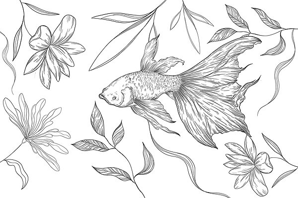 Dessin en noir et blanc d'un poisson et de plantes Dessin en noir et blanc d'un poisson et de plantes