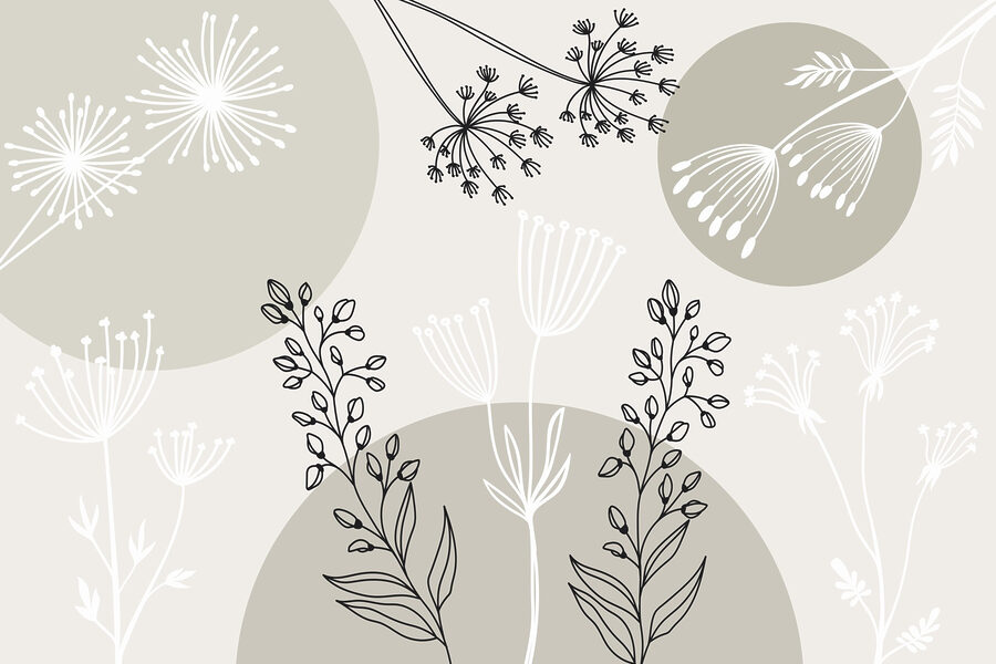 Dessin de fleurs et de plantes