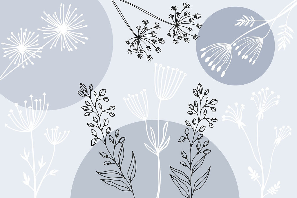 Dessin de fleurs et de plantes Dessin de fleurs et de plantes