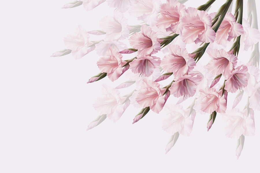 Groupe de fleurs roses Groupe de fleurs roses