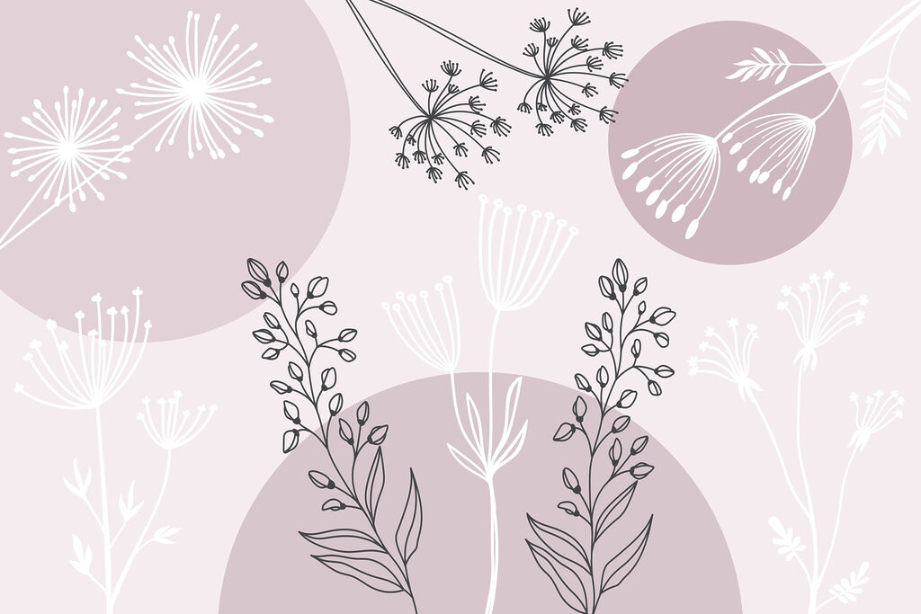 Dessin de fleurs et de plantes Dessin de fleurs et de plantes