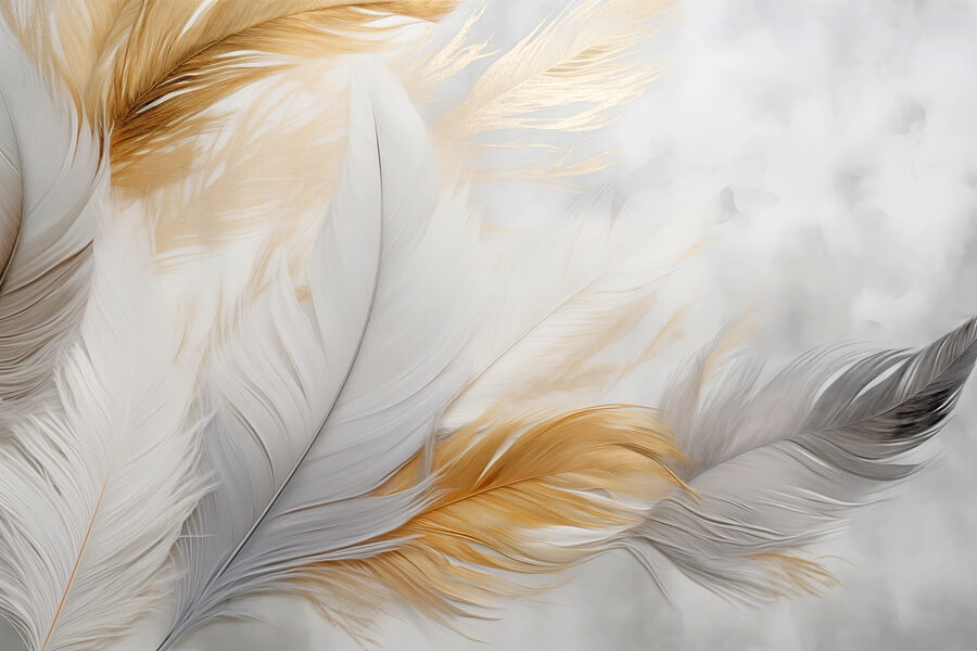 Plumes délicates aux couleurs douces