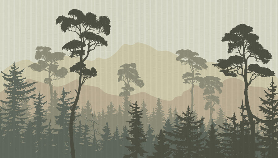 Paysage d'arbres et de montagnes