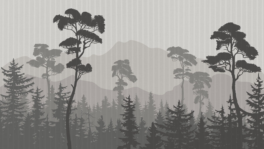 Paysage d'arbres et de montagnes