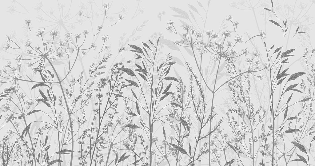 Silhouettes délicates de la beauté de la nature Silhouettes délicates de la beauté de la nature