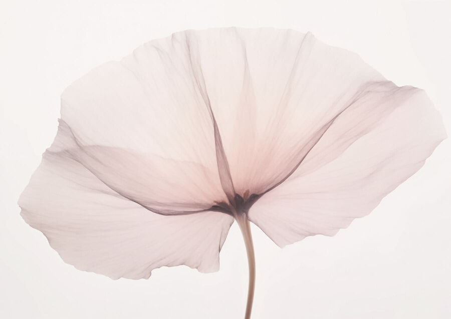Fleurs délicates sur un fond doux