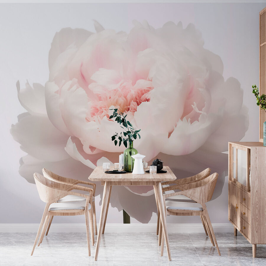 Pétales délicats dans une douce floraison