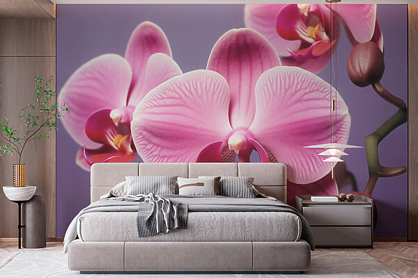 Orchidées délicates aux teintes douces Orchidées délicates aux teintes douces