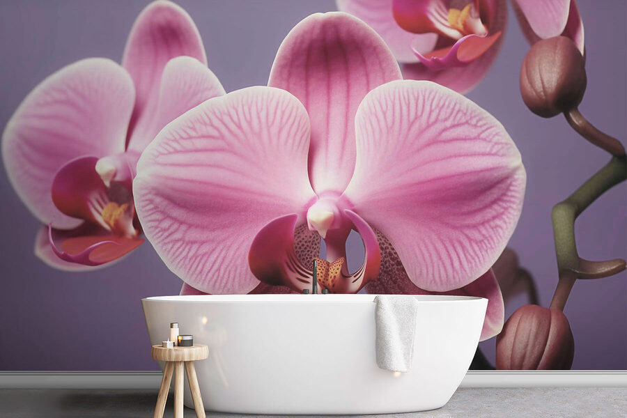 Orchidées délicates aux teintes douces