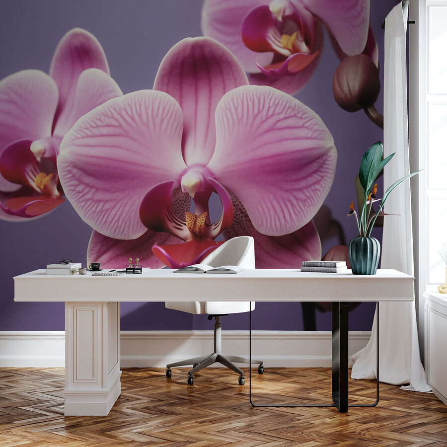 Orchidées délicates aux teintes douces
