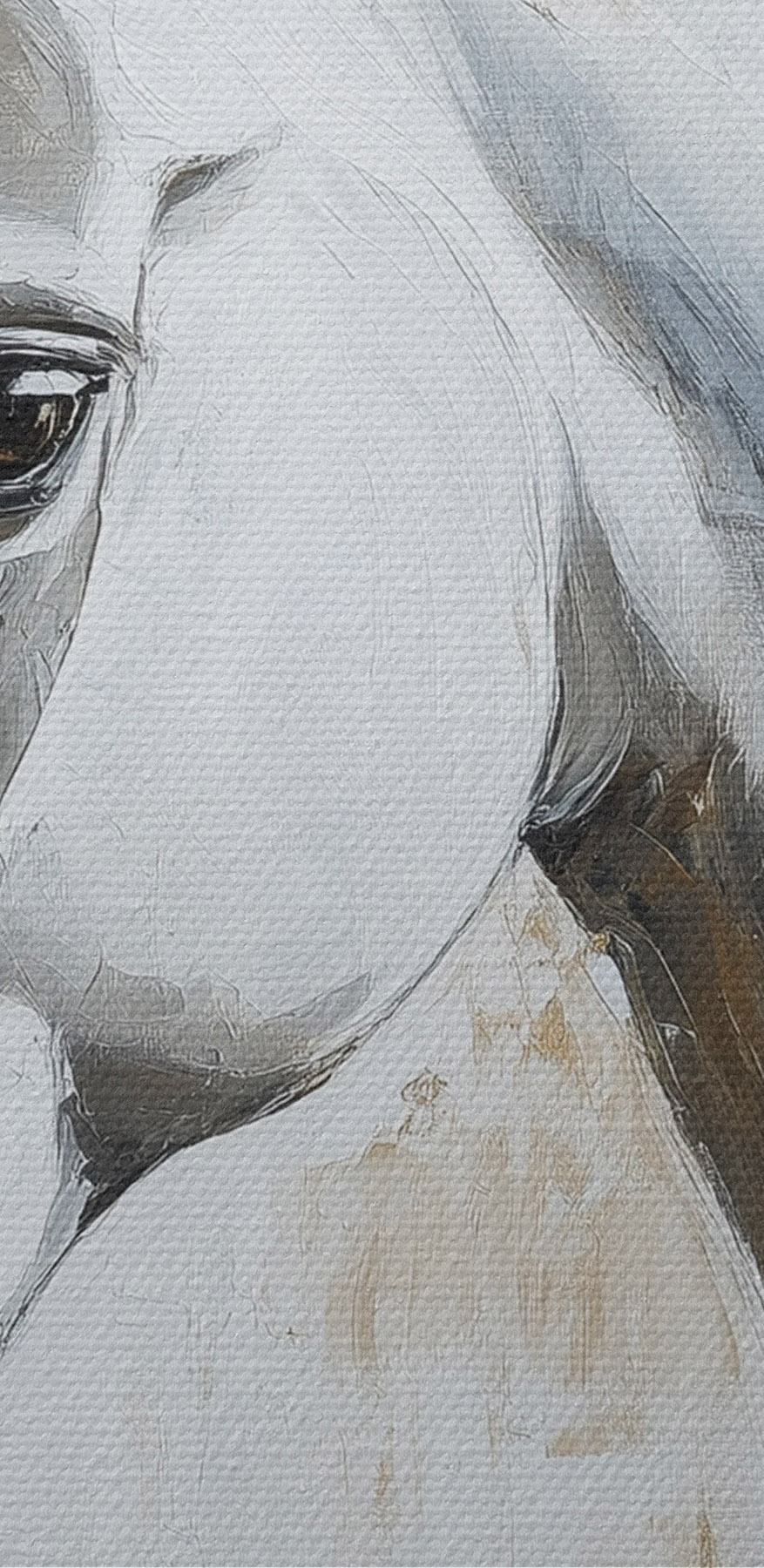Peinture d'un cheval blanc Peinture d'un cheval blanc