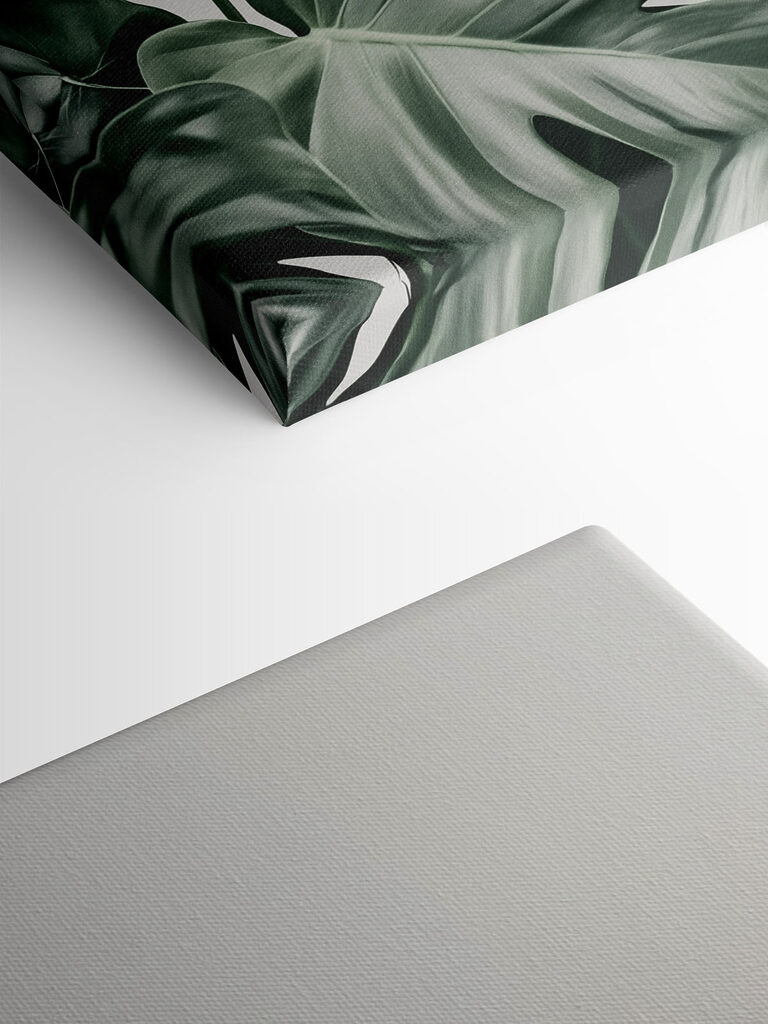 Lush green leaves in soft light