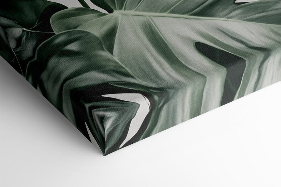 Feuilles vertes luxuriantes dans une lumière douce Feuilles vertes luxuriantes dans une lumière douce