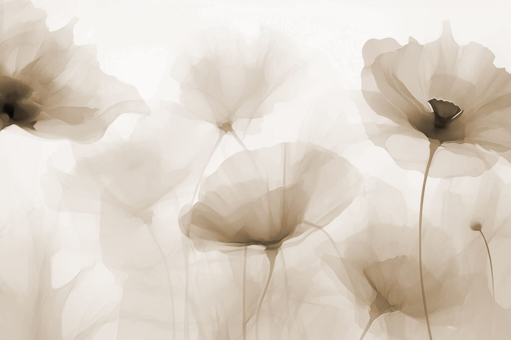 Groupe de fleurs sur fond blanc Groupe de fleurs sur fond blanc
