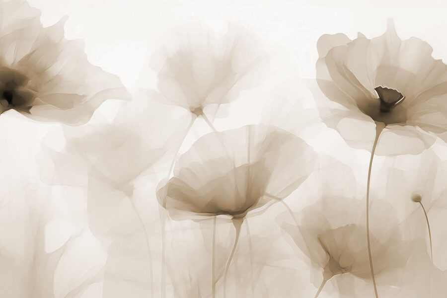 Groupe de fleurs sur fond blanc