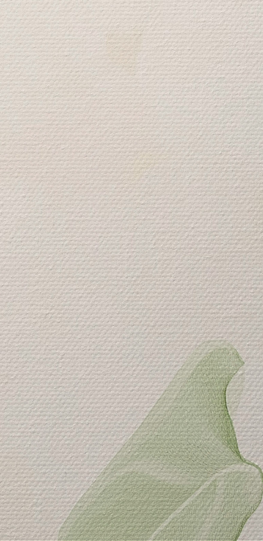Des verts sereins dans une lumière douce.