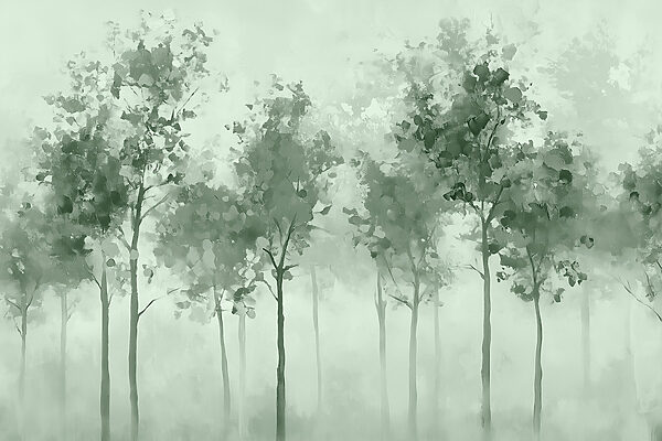 Groupe d'arbres dans le brouillard Groupe d'arbres dans le brouillard