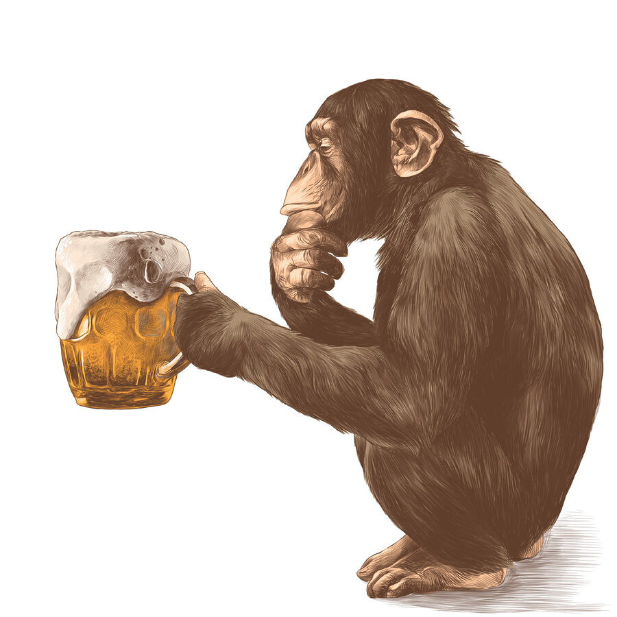 Singe tenant une chope de bière Singe tenant une chope de bière