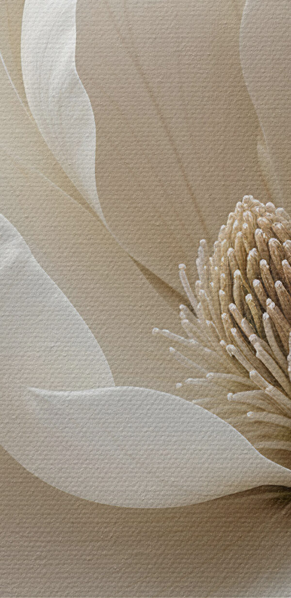 Des fleurs délicates dans des teintes douces Des fleurs délicates dans des teintes douces