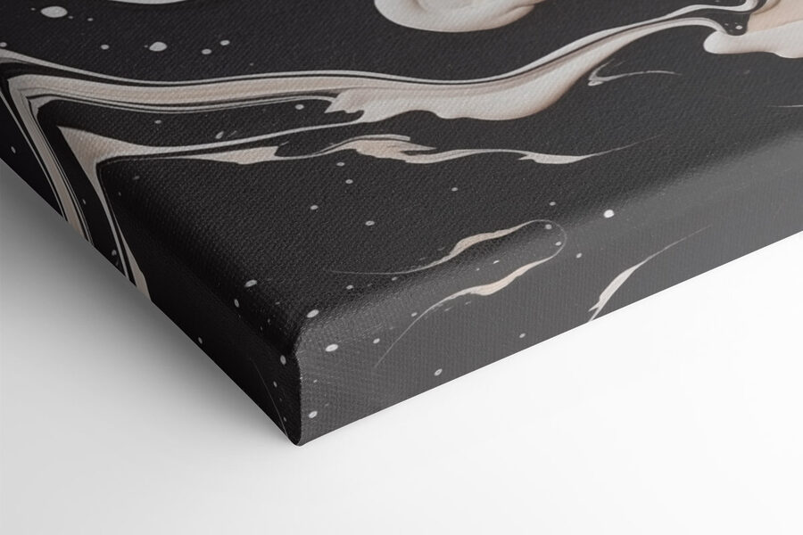 Peinture noire et blanche