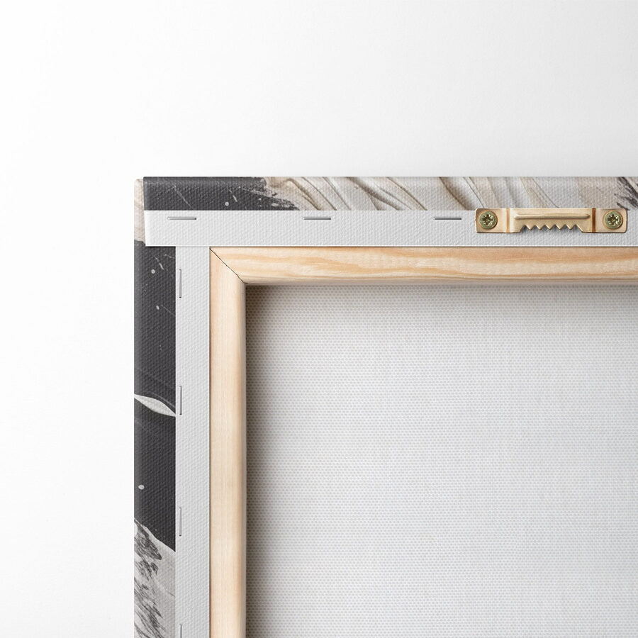Peinture noire et blanche