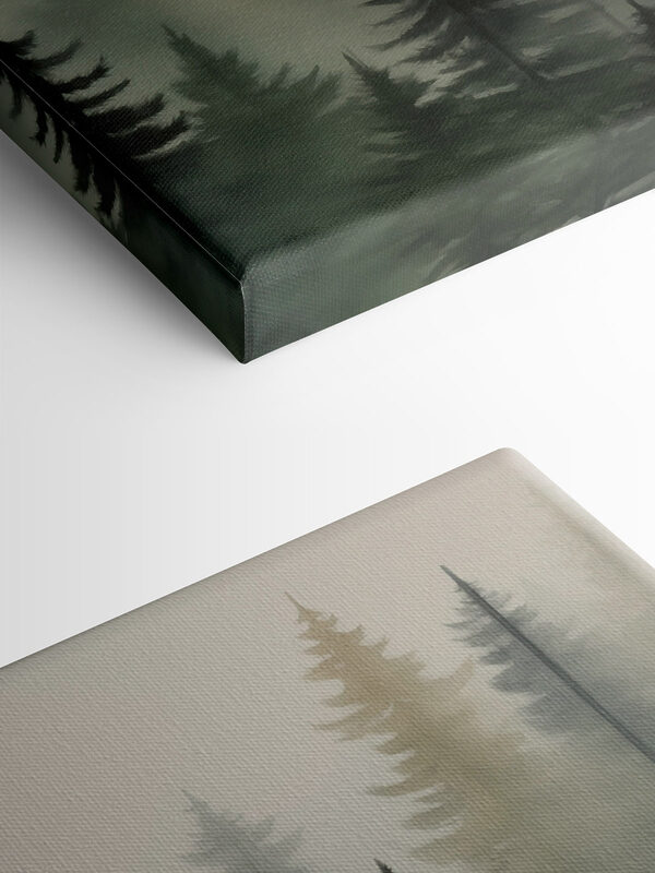Forêt brumeuse avec des arbres Forêt brumeuse avec des arbres