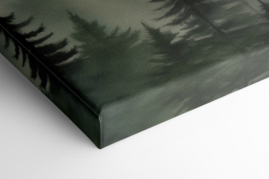 Forêt brumeuse avec des arbres