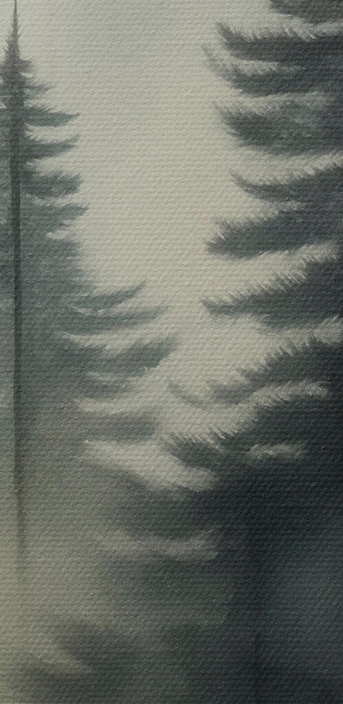 Foggy forest with trees Foggy forest with trees