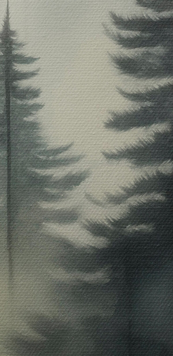 Forêt brumeuse avec des arbres Forêt brumeuse avec des arbres