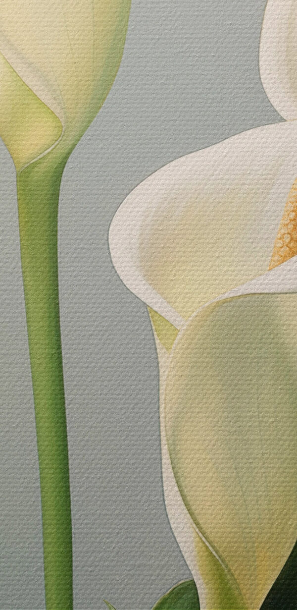 Fleurs blanches élégantes dans une lumière douce Fleurs blanches élégantes dans une lumière douce