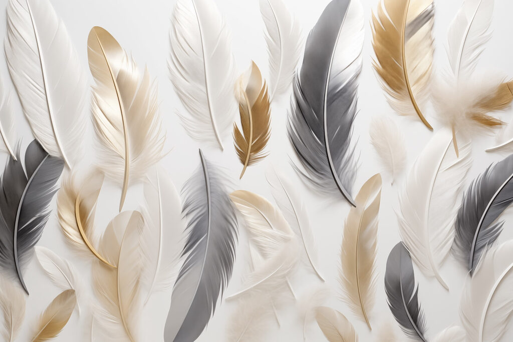 Groupe de plumes sur une surface blanche Groupe de plumes sur une surface blanche