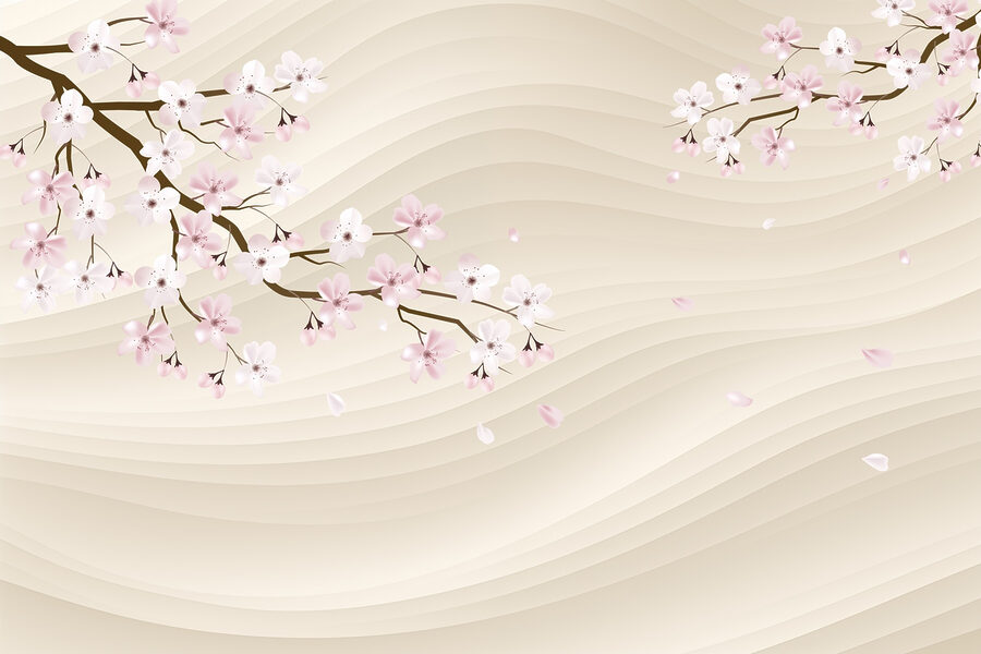 Branche d'arbre avec des fleurs blanches et roses