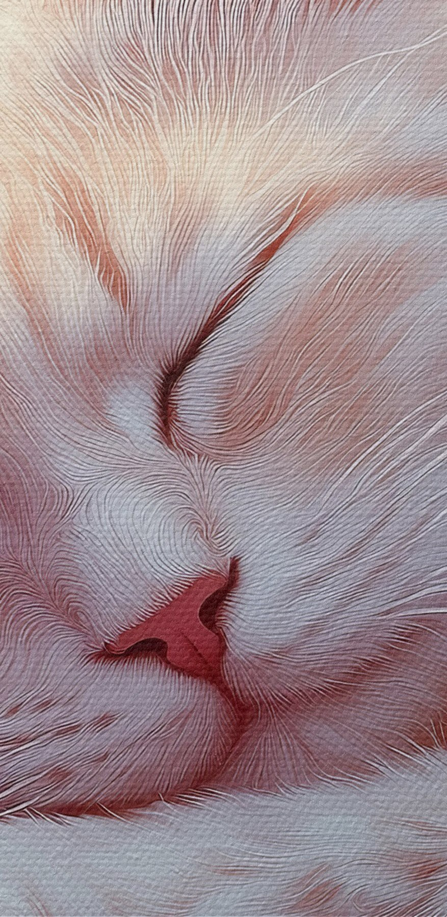Chat dormant dans un parterre de fleurs