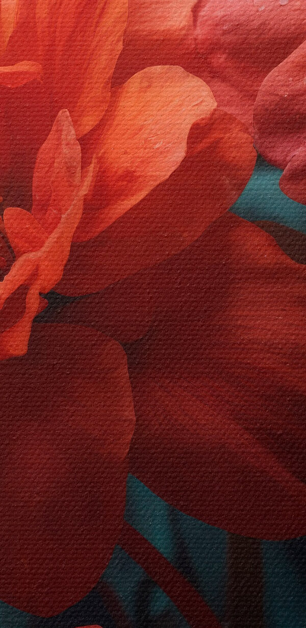 Groupe de fleurs rouges Groupe de fleurs rouges