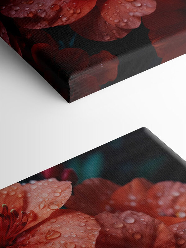 Group of red flowers with water droplets